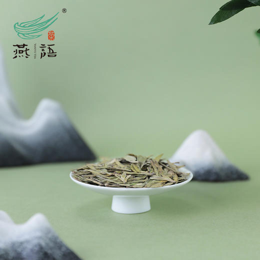 2026燕语早春龙井50g（尝鲜装） 商品图2