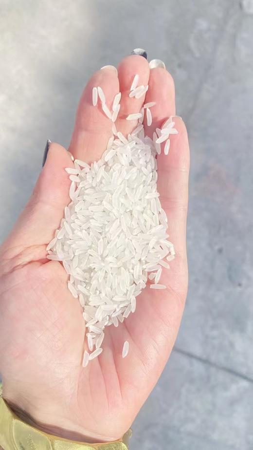 【超级好评，口感好】五常中科发5号长粒香大米/稻花香2号大米10斤装，工厂直发，稻米现磨现卖，口感喷香有嚼头。全国包邮 商品图2