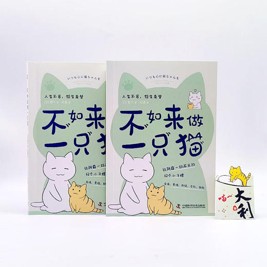 不如来做一只猫：跟猫咪学习62个消除负面情绪的小技巧（日本人气漫画家耶六新作！附赠精美猫猫书签！） 商品图7