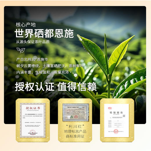 正宗恩施利川红茶高山工夫红茶蜜香精品特级富硒茶叶200g罐装 商品图4