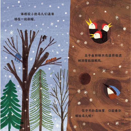 《森林四重奏》（全4册）：《叽叽喳喳的树梢》《热闹的灌木乐园》《昆虫的森林花园》《泥土里的穿行者》 商品图11
