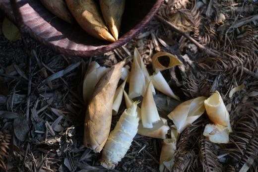 黄山野生黄泥冬笋 商品图4