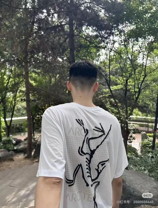 鸟 棋盘格 胸前刺绣 圆领短袖T恤 Z-15087 商品图4