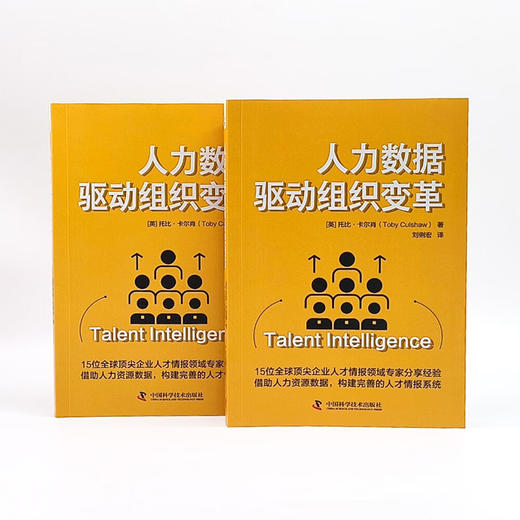 人力数据驱动组织变革：从零构建完善的人才情报体系 商品图7