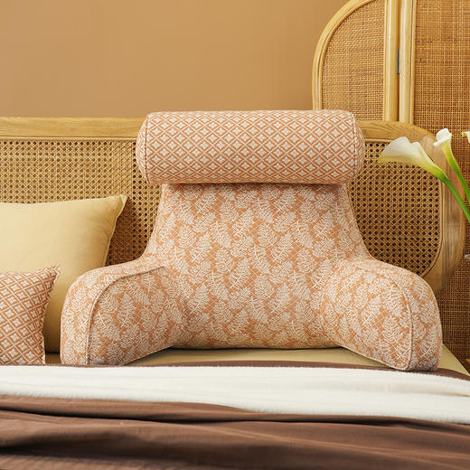 凤尾蕨系列拼色多功能颈枕护腰靠床头靠垫软包大靠背高级感腰靠卧室可拆洗 商品图1