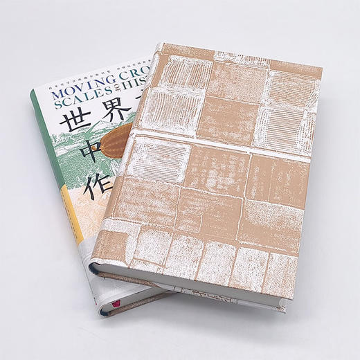 世界文明中的作物迁徙：聚焦亚洲、中东和南美洲被忽视的本土农业文明（汉学家白馥兰新作！） 商品图5