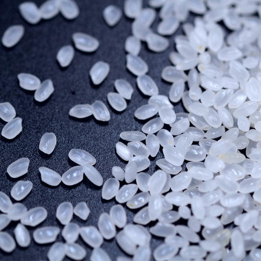 稻鲜米家庭装大米10斤-LL 商品图1