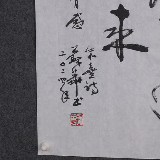 苏华《观书有感》书法69CM*137CM约8.5平尺手写宣纸作品【SF0724】 商品图8