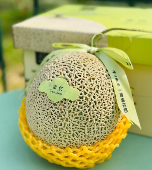 牛3蜜瓜|网纹甜瓜中的高级品种，来自日本，历时三年反复栽培，才将这一美味根植中国。因其独一无二的绝佳口味，被称作“甜瓜贵族”呢💚💚 商品图0