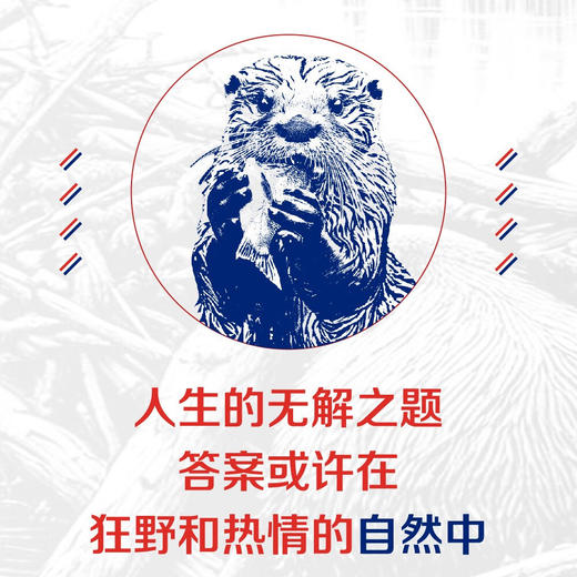 河狸大神：第二建筑师如何塑造美国 商品图8