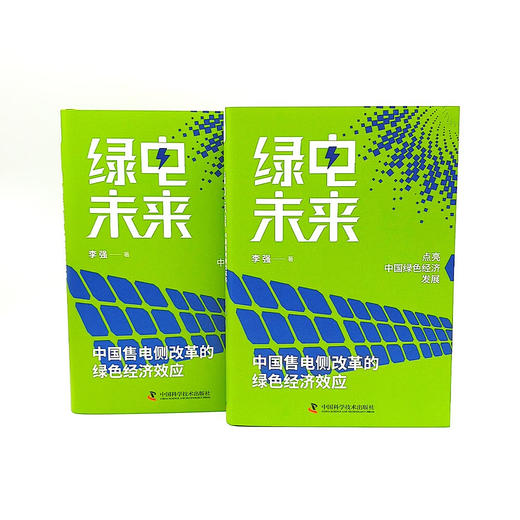 绿电未来：中国售电侧改革的绿色经济效应 商品图6