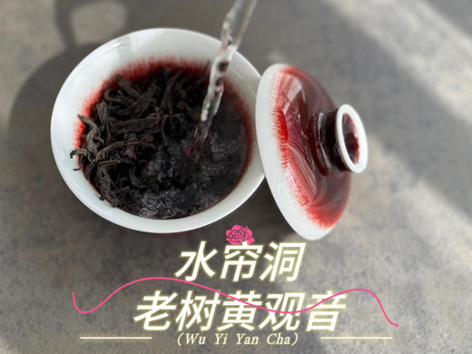 【新品上市】2024水帘洞老树黄观音来了，它不是肉桂，它只是树龄够老，拥有了肉桂的辛辣感 商品图7