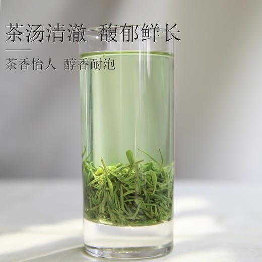 【2026新茶】泥巴哥7星云雾明前高山绿茶125g*2袋 商品图2