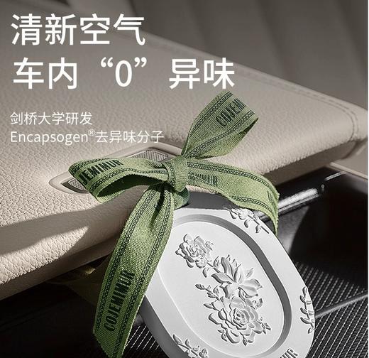 DWF1807378697269卧室衣柜香薰车载扩香石家用室内持久留香男女士汽车香薰饰品挂件RJ063 商品图3
