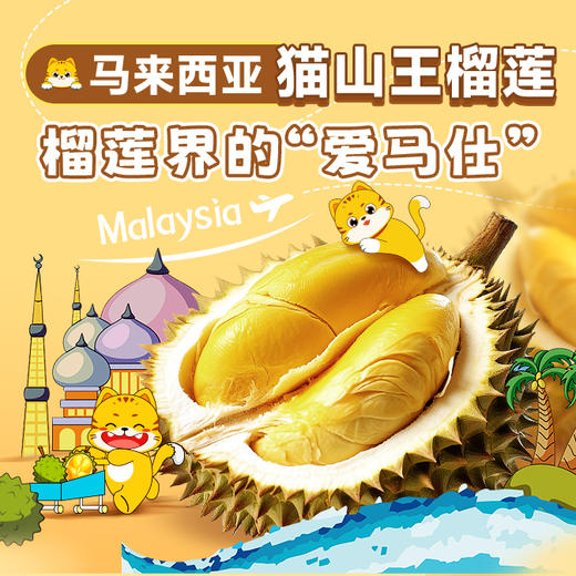 【BF】猫山王榴莲整果BC级 约2-2.5斤(保3房) 商品图1