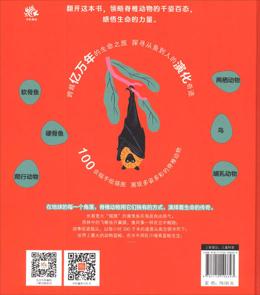 多姿多彩的脊椎动物 商品图2