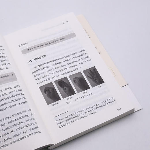 情绪说明书：解锁内在情绪力量 商品图8