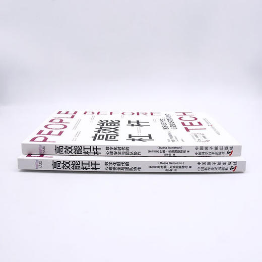高效能杠杆：数字化时代的心理安全与团队协作 商品图6