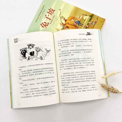兔子坡  纽伯瑞儿童文学金奖作品  儿童文学 商品图3