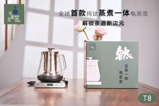 不觉堂T8纯钛蒸煮一体内胆玻璃煮茶炉蒸茶玻璃壶烧水壶专用 商品图0