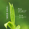 【2026新茶上市】泥巴哥精品雀舌烘青绿茶明前青叶甘露100g*2罐 商品缩略图1