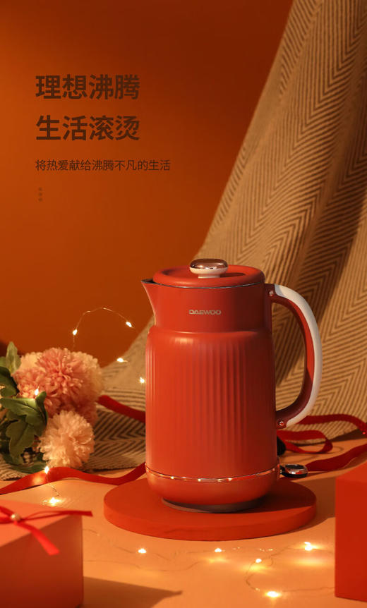 大宇（DAEWOO） 电热水壶家用双层防烫304不锈钢内胆开水壶_DYSH-15F82 商品图2