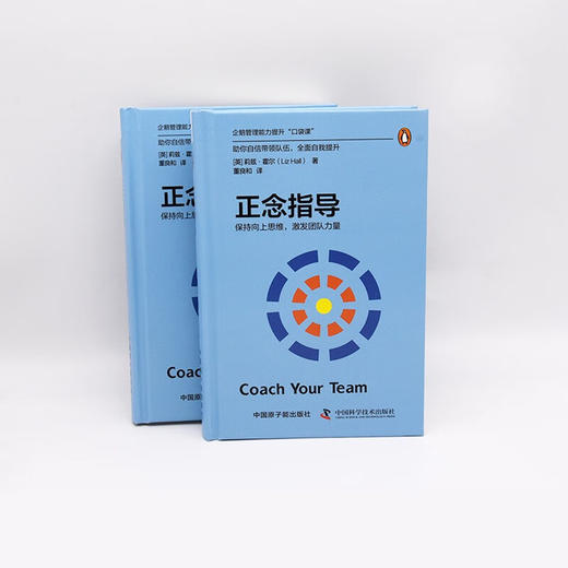 正念指导：保持向上思维，激发团队力量（精装典藏版） 企鹅管理能力提升“口袋课” 商品图6