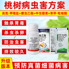 桃树病虫方案螺虫乙酯果树柑橘介壳虫蚜虫蓟马专用杀虫剂套餐正品