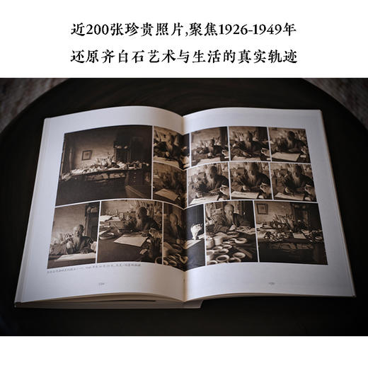 齐白石照相记 商品图1