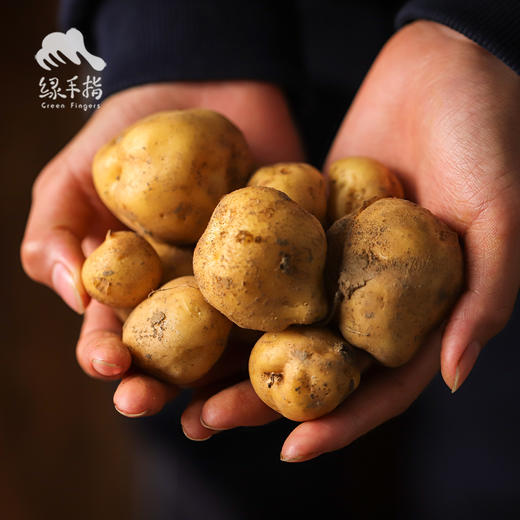 生态土豆/恩施老品种小土豆（包邮） | 绿家自产 * Ecological potato | Self-production 商品图5