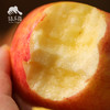 生态新世纪苹果 | 合作生产 *Ecological New Century Apple| Partner Production 商品缩略图4