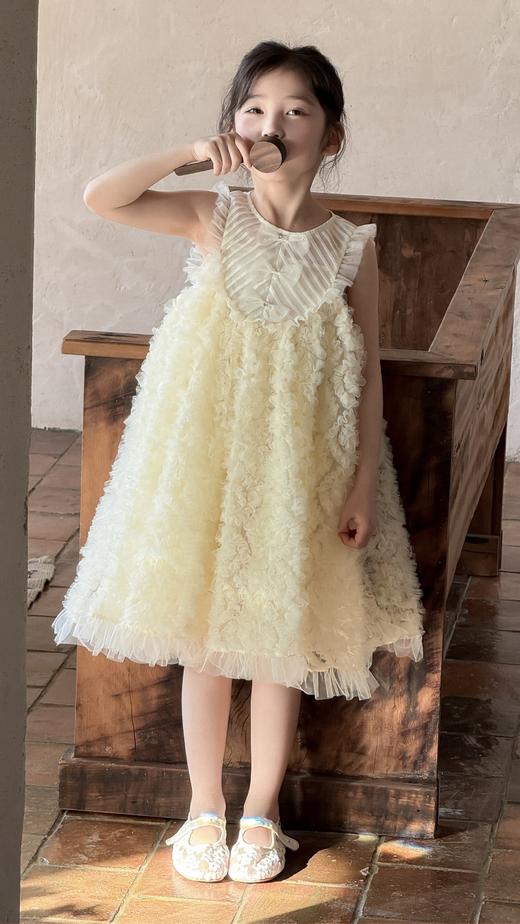 甜心蓬蓬裙 商品图0