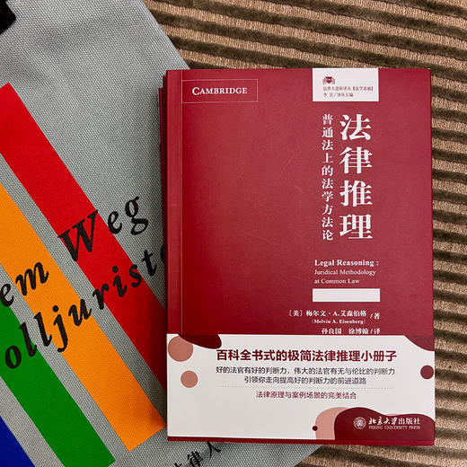 法律推理：普通法上的法学方法论 〔美〕梅尔文 · A. 艾森伯格 著  孙良国 徐博翰 译 北京大学出版社 商品图3