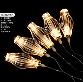 DD24198-5头灯串（运费自理）