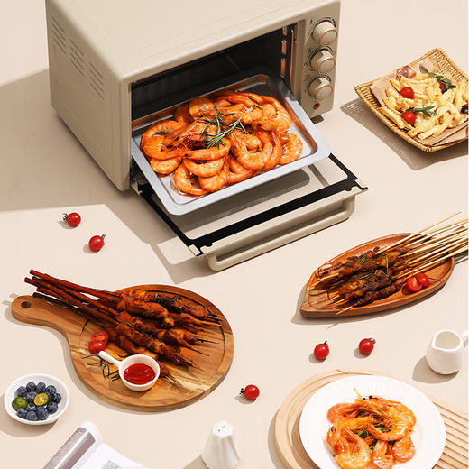 大宇电烤箱家用多功能20L电烤箱_DY-KX1801 商品图6