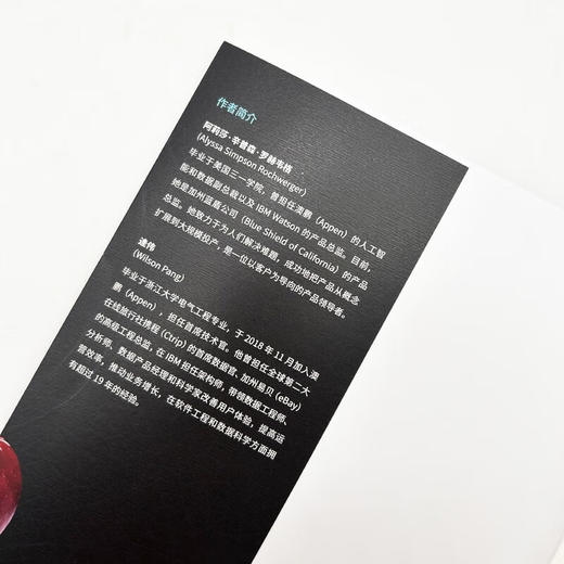 AI图景：Sora时代的人工智能应用 deepseek教程 商品图8