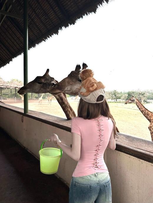 点此购买 Alo夏季女士多巴胺龙骨正肩短袖T恤 ggd 311790 商品图5