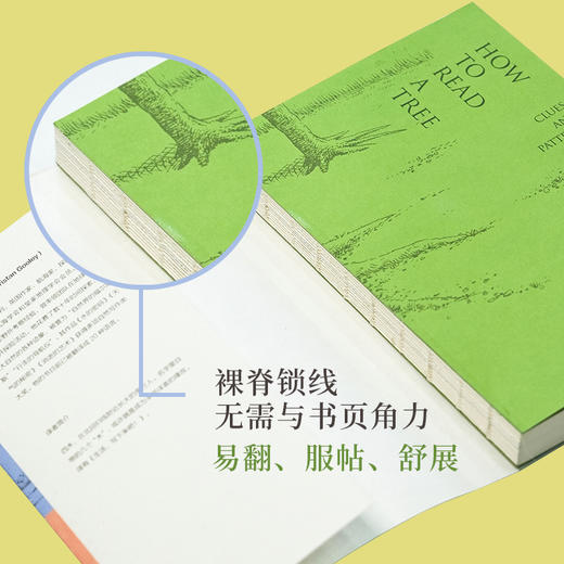 如何阅读一棵树：探寻树木的生命密语 商品图1