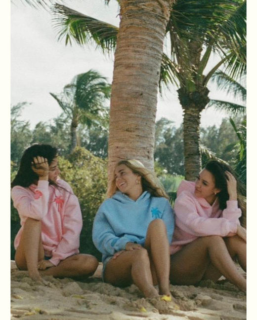 官网正版代购~pinkpalmpuff 超火冲浪🏄连帽卫衣 3色 商品图0