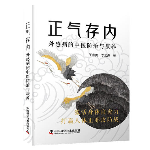 正气存内：外感病的中医防治与康养 商品图0