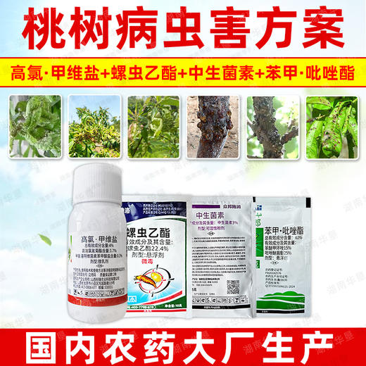 桃树病虫方案螺虫乙酯果树柑橘介壳虫蚜虫蓟马专用杀虫剂套餐正品 商品图2