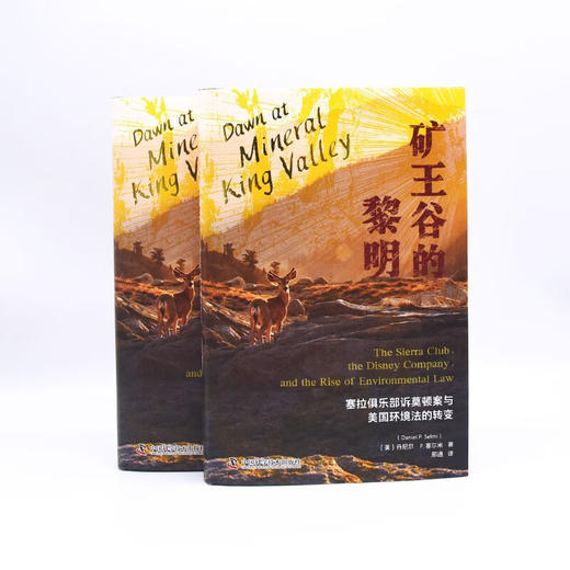 矿王谷的黎明：塞拉俱乐部诉莫顿案与美国环境法的转变（精装典藏版） 商品图7