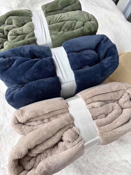 LHX25351牛奶绒绒毯 商品图4