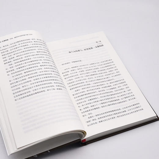 红酒帝国：市场、殖民地与英帝国兴衰三百年（精装典藏版） 商品图9