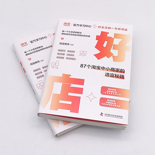 好店：87个淘宝中小商家的造富秘籍 商品图5