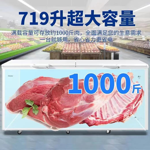 海尔（Haier）冰柜家用商用大容量双开门冰柜300/500升以上一级能效超低温海鲜速冻全冷冻冷藏茶叶卧式冷柜冰箱 719升双开门商用大容量+长1.86米 719L 商品图2