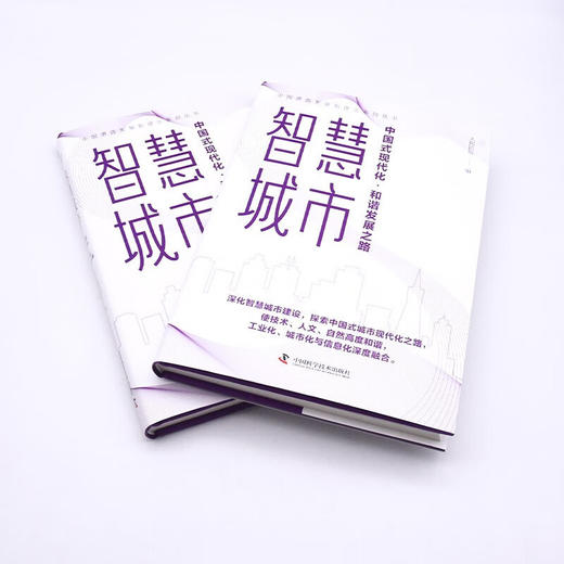 智慧城市：中国式现代化·和谐发展之路 中国道路发展新理念系列丛书（精装典藏版） 商品图5