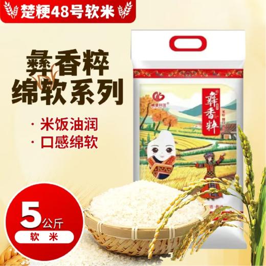 彝香粹 楚粳48号绵软系列软米-5kg 商品图0