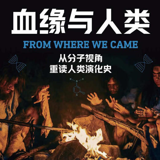 血缘与人类：从分子视角重读人类演化史 商品图1