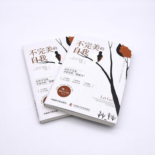 不完美的自我：接纳与放手，让自己活得更有韧性 商品图5